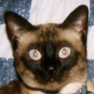 Doe - steam id 76561197961813118