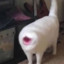 Wobbles