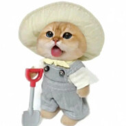 AAA雾子灵符批发