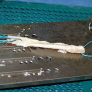 Ligamentum Cruciatum Anterius