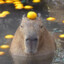 MentallyDeadGoose