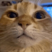 ó €¡ó €¡â§â§zywiec zdroj