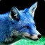 the blue fox