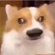 想唆东北雨姐大汗脚