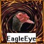 Eagle eye