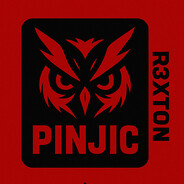 P1NJ1C - steam id 76561198876891033