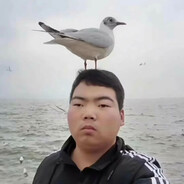 大事不妙雷霆猪