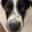 duncan