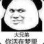 122062096