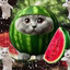 wassermelone kater