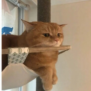 你在打你的内个