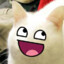 my_cat_pumba