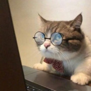 人类高质量男孩04