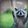 Trash Panda's avatar