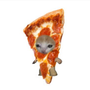 흑인노동얼짱대표