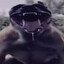 SIKWOKEr