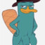 perry 3 legs