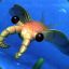 Anomalocaris