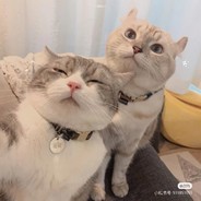 人不要脸天下无敌