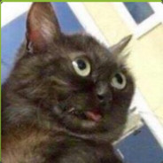 why do kitty shake - steam id 76561197961393789