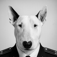 boss - steam id 76561198145446969