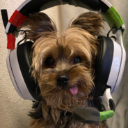 5h4de5___(⌐▨_▨)