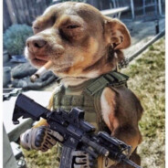 Chief's A Roped