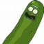 banditcamp.com pickle