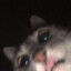 e13d