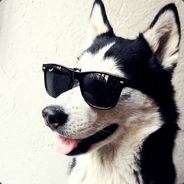 HUSKY_DUSKY