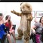 Dancing Bear 69