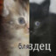 бляздец's avatar