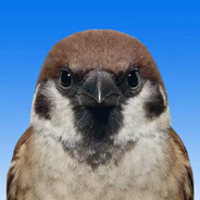 俺寻思纳垢浓汤给帝皇灌肠能预防痔疮