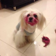 我只打酱油可好