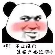 梦想是成为Timing侠