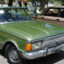 Falcon Verde