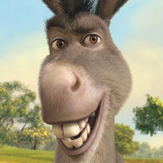Donkey