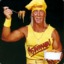 hulk hogan