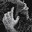 Wrist