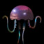 KallyJellyfish