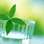 彩b