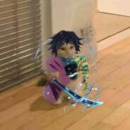 我是菜狗别喷我