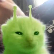 Atlas Melon