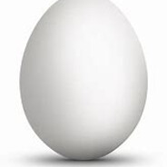 правое яйцо