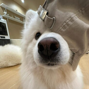 归零超载的伤悲