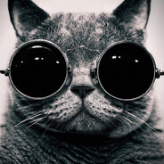 Cool cat with sunglasses