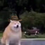 Fetcher