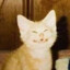 Nare.net's avatar