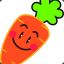 CarRot`