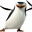 Skipper